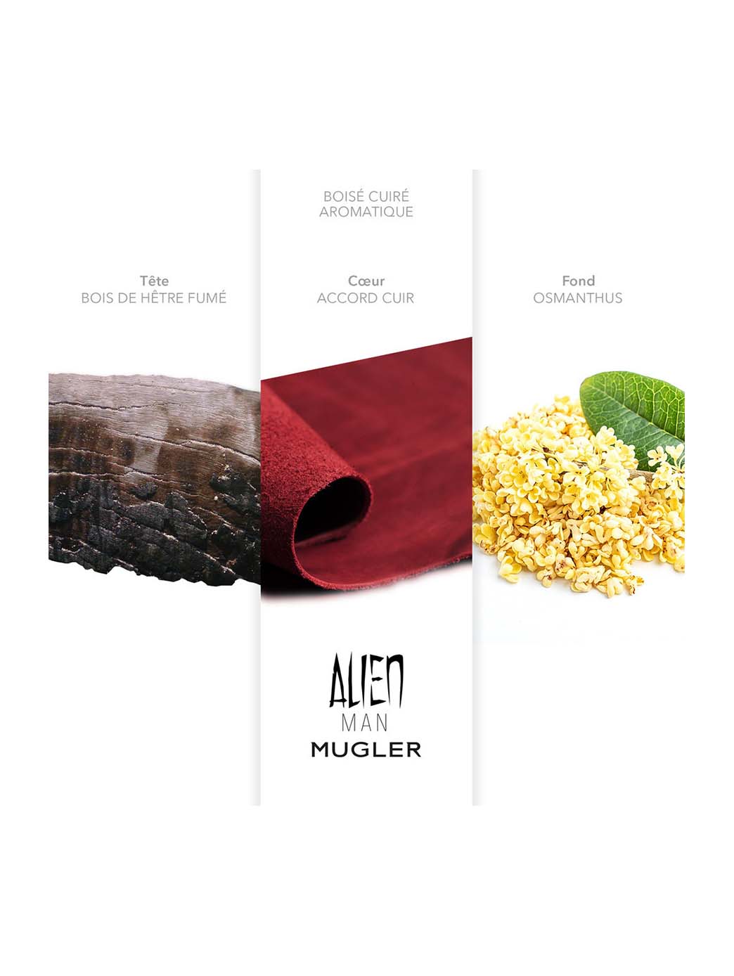 Alien Parfum Hombre