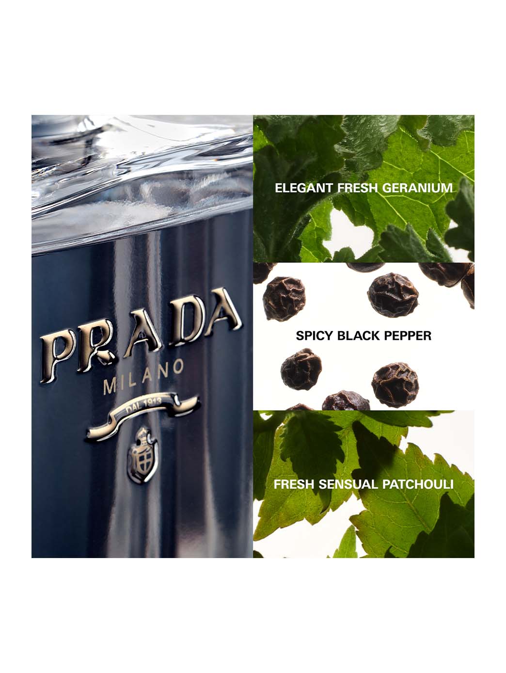 L''''Homme Prada