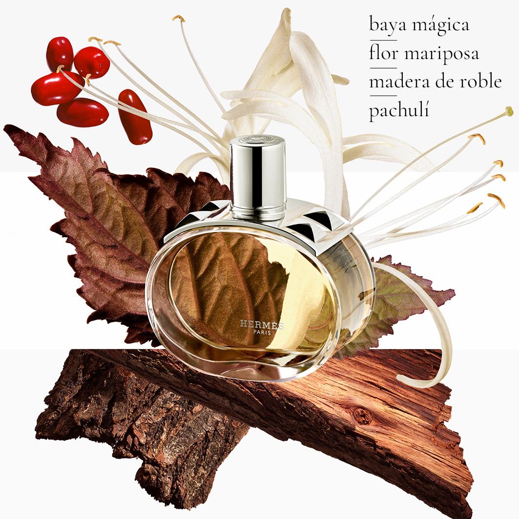 Barénia Refill