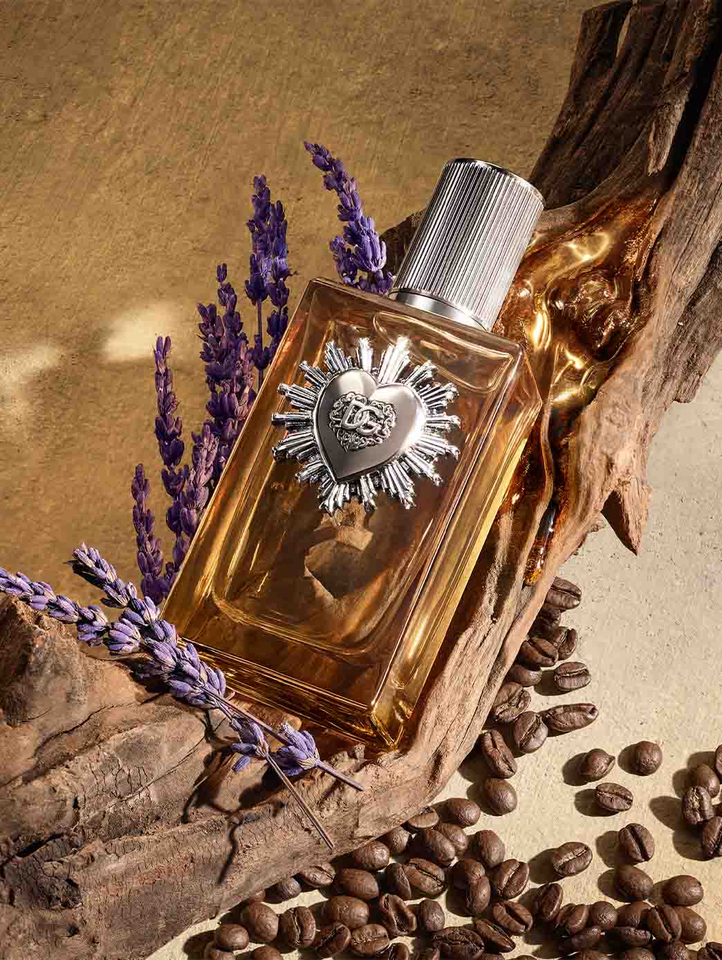 Devotion Pour Homme