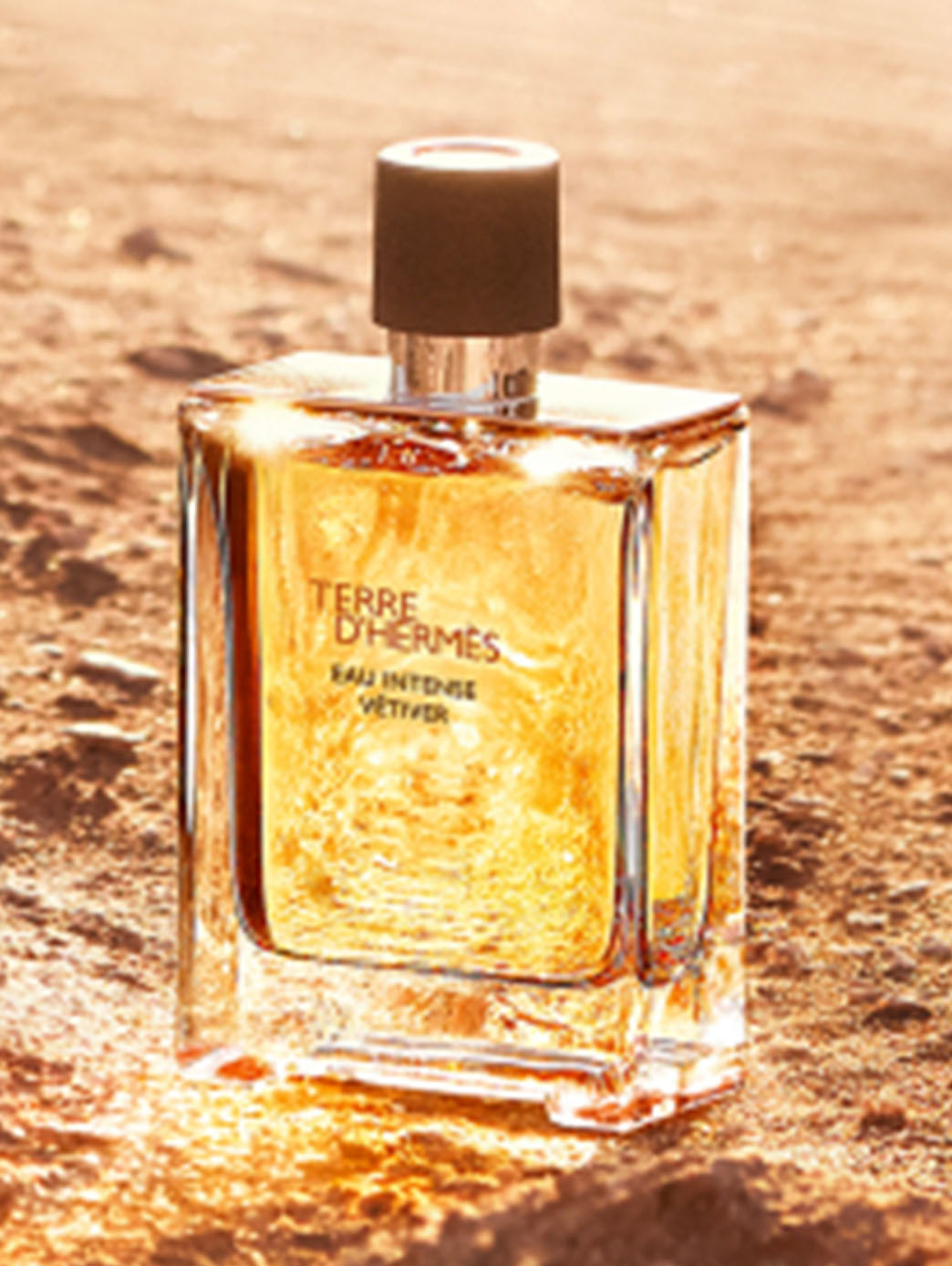 Terre Intense Vétiver