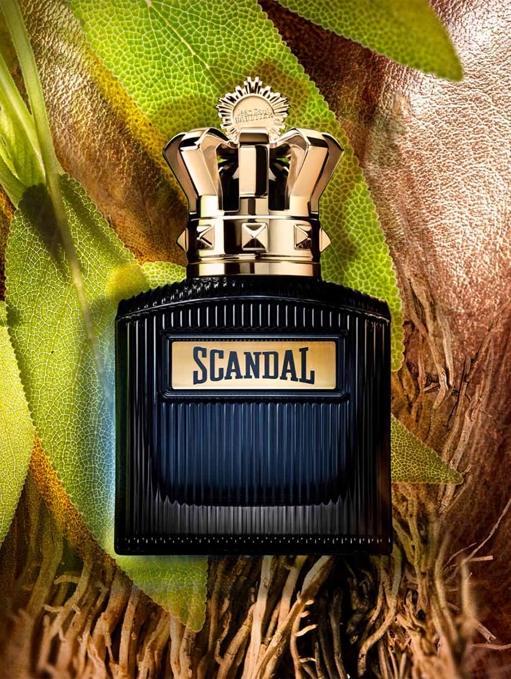 Cofre Scandal Intense