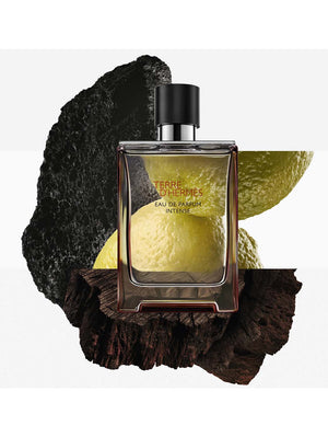 Terre d''''Hermès EDP Intense
