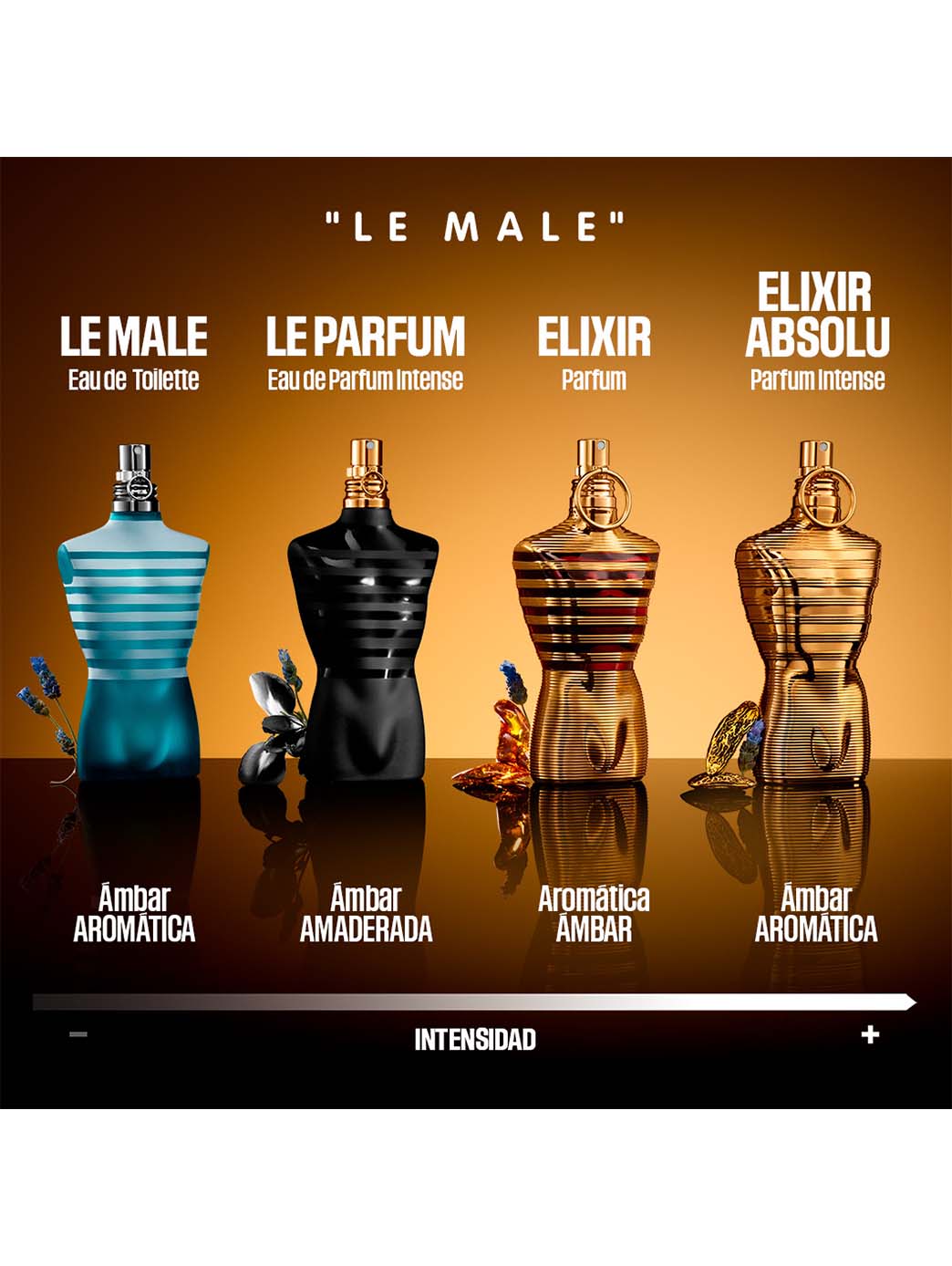 Le Male Elixir Absolu