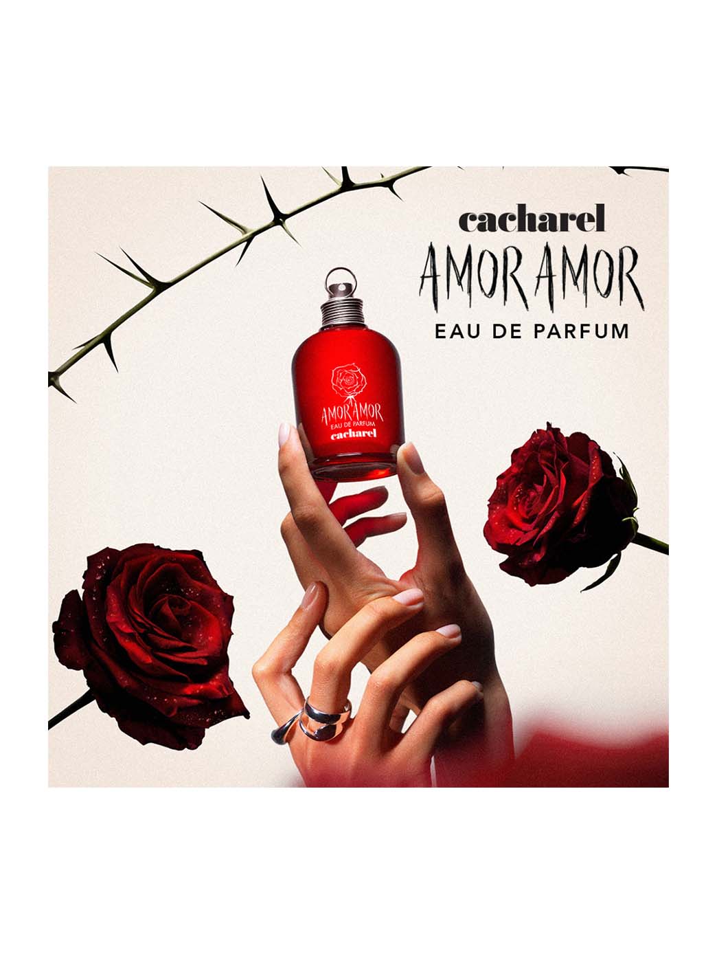 Amor Amor EDP