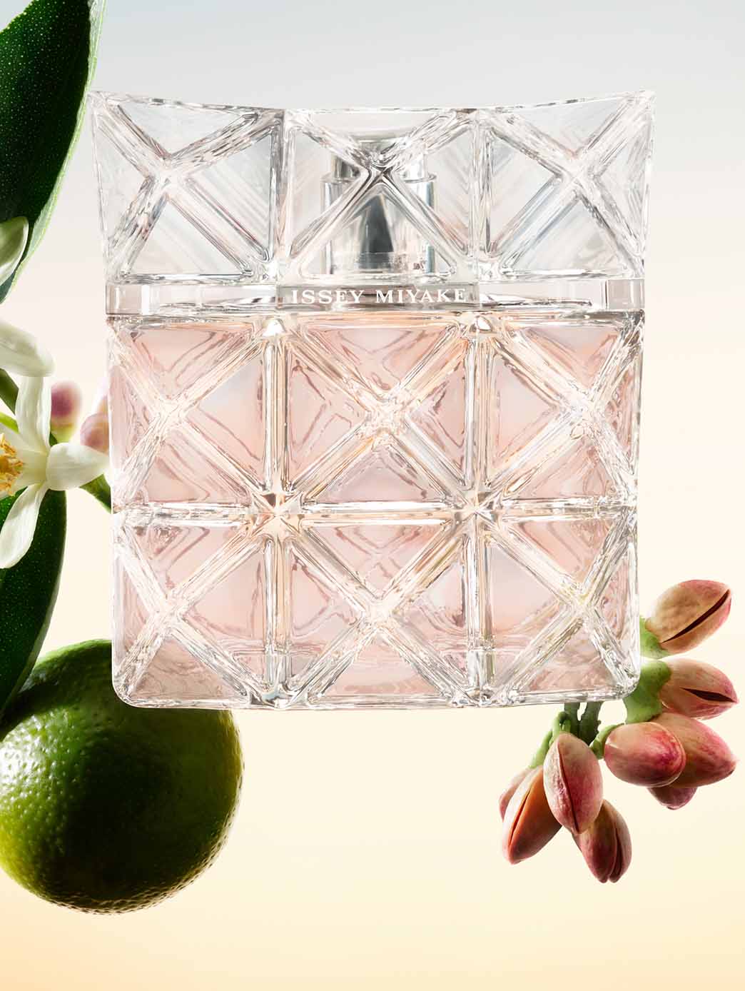 Lumière Body Lotion