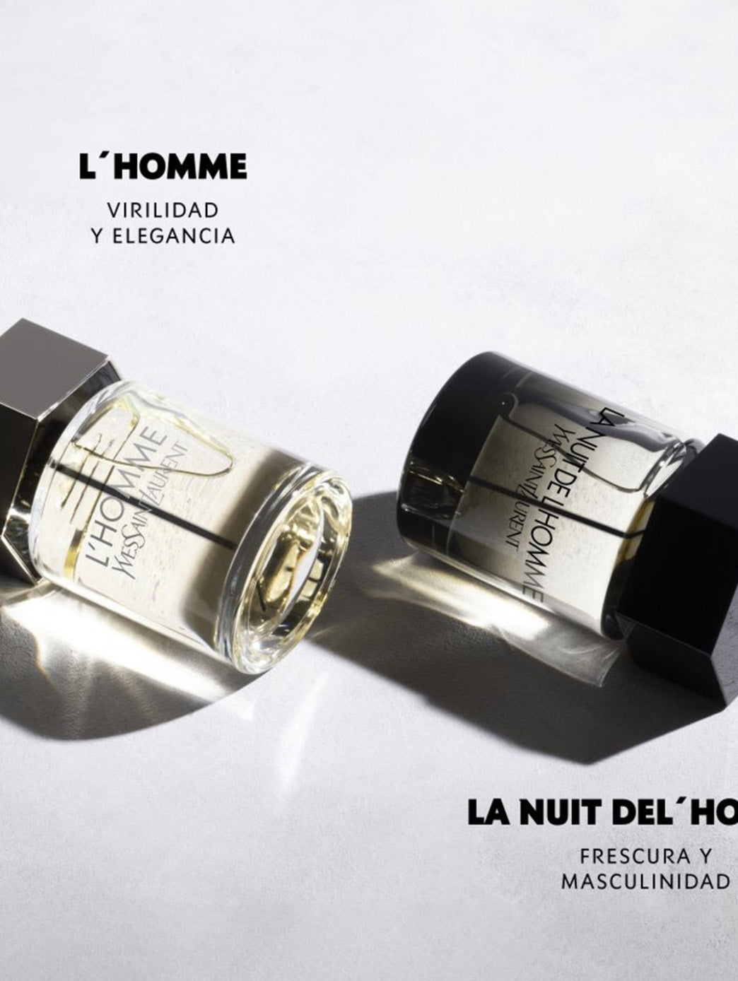 L''''Homme