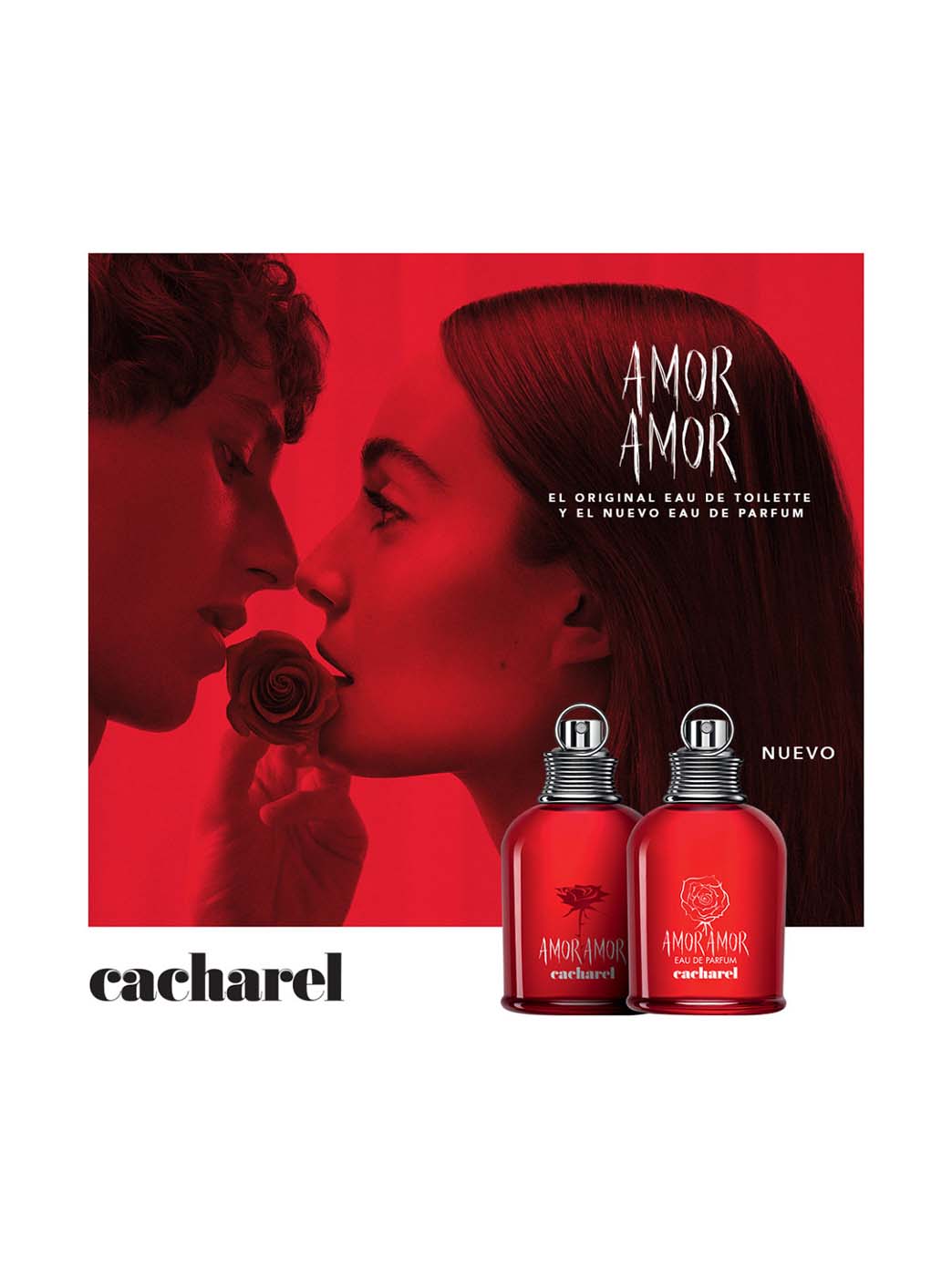 Amor Amor EDP
